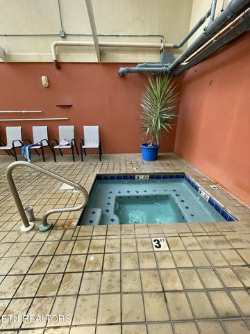 413 Baskins Creek Rd 501, Gatlinburg, TN 37738