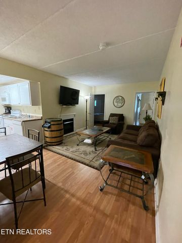 413 Baskins Creek Rd 501, Gatlinburg, TN 37738