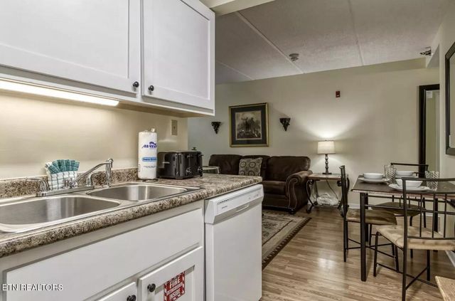 413 Baskins Creek Rd 501, Gatlinburg, TN 37738