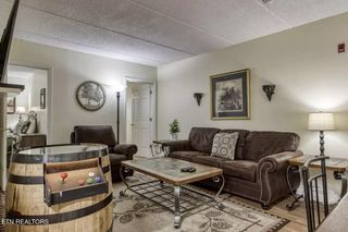 413 Baskins Creek Rd 501, Gatlinburg, TN 37738