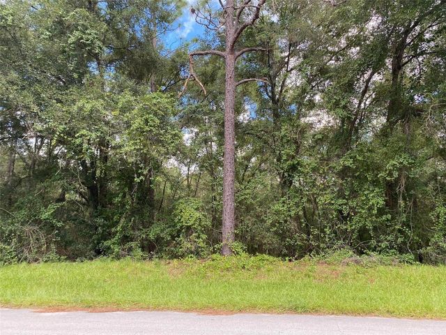 425 E ELGROVE DRIVE, Citrus Springs, FL 34434