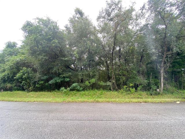 425 E ELGROVE DRIVE, Citrus Springs, FL 34434