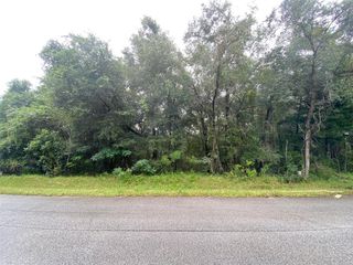 425 E ELGROVE DRIVE, Citrus Springs, FL 34434