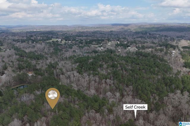 8260 KERMIT JOHNSON ROAD, Pinson, AL 35126