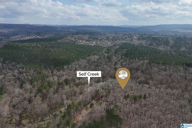 8260 KERMIT JOHNSON ROAD, Pinson, AL 35126