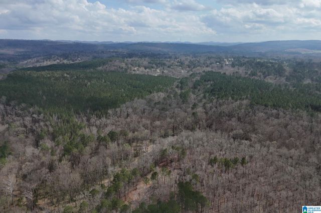 8260 KERMIT JOHNSON ROAD, Pinson, AL 35126