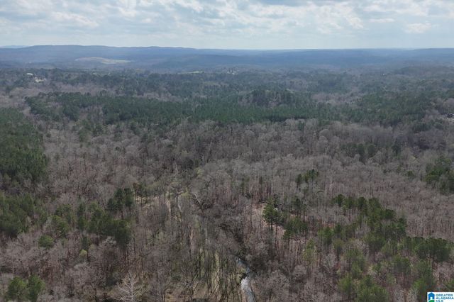 8260 KERMIT JOHNSON ROAD, Pinson, AL 35126