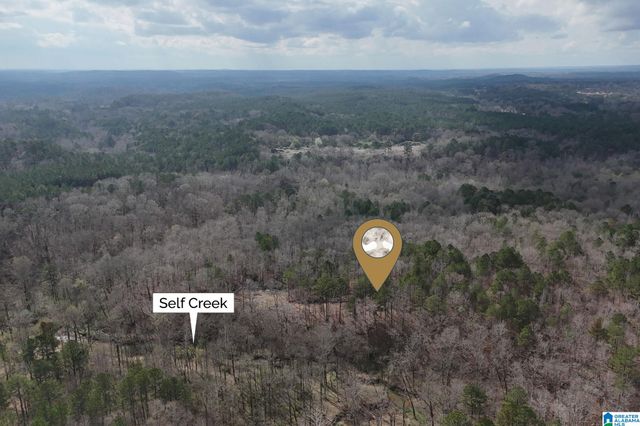 8260 KERMIT JOHNSON ROAD, Pinson, AL 35126