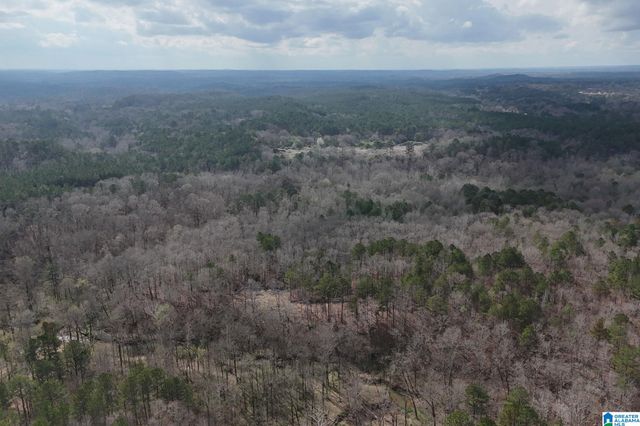 8260 KERMIT JOHNSON ROAD, Pinson, AL 35126