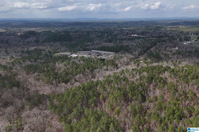 8260 KERMIT JOHNSON ROAD, Pinson, AL 35126