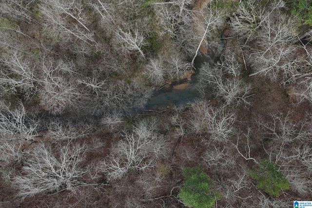 8260 KERMIT JOHNSON ROAD, Pinson, AL 35126