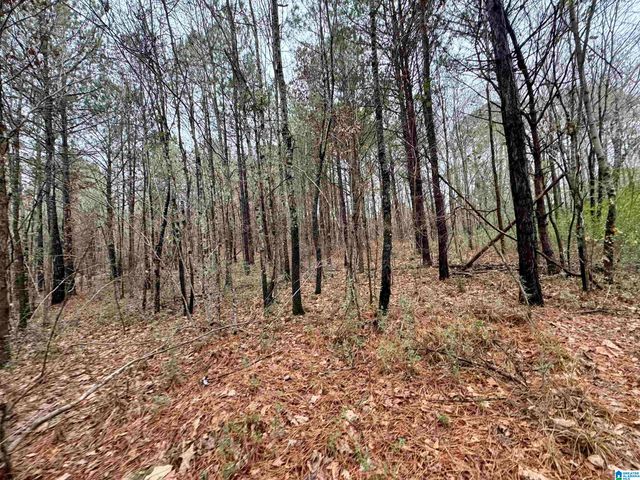 8260 KERMIT JOHNSON ROAD, Pinson, AL 35126