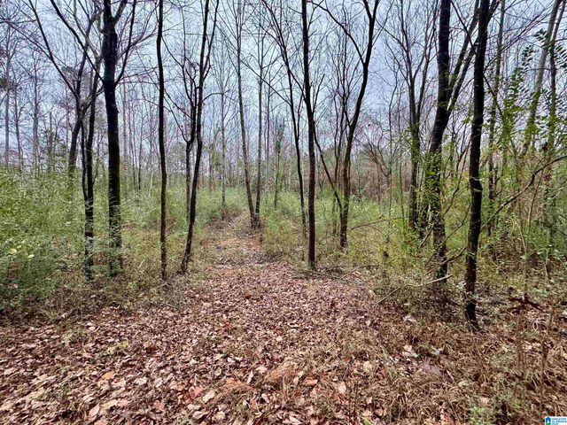 8260 KERMIT JOHNSON ROAD, Pinson, AL 35126