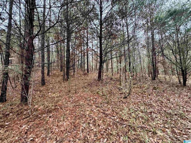 8260 KERMIT JOHNSON ROAD, Pinson, AL 35126