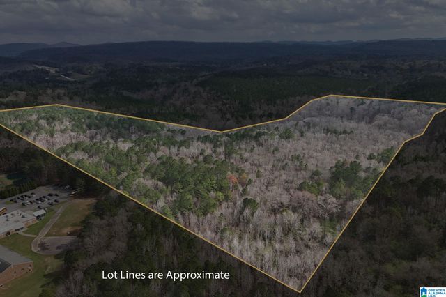 8260 KERMIT JOHNSON ROAD, Pinson, AL 35126