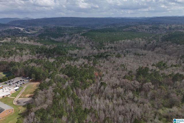 8260 KERMIT JOHNSON ROAD, Pinson, AL 35126