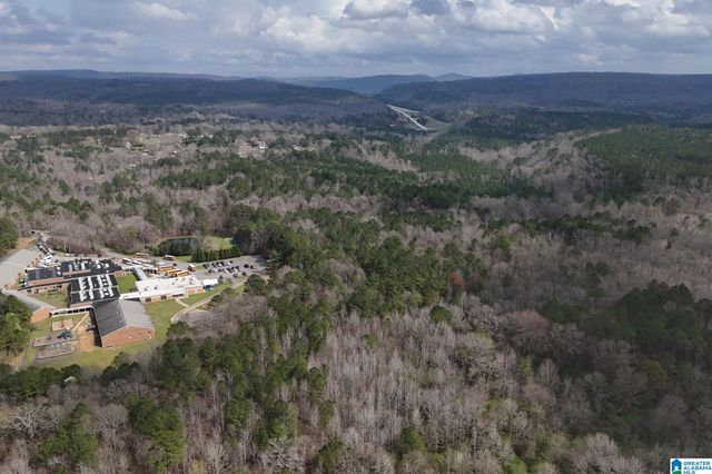 8260 KERMIT JOHNSON ROAD, Pinson, AL 35126