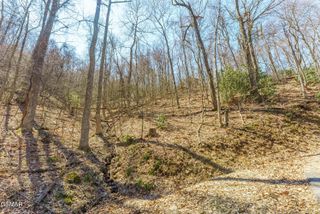 0 Tyrolea Court, Gatlinburg, TN 37738