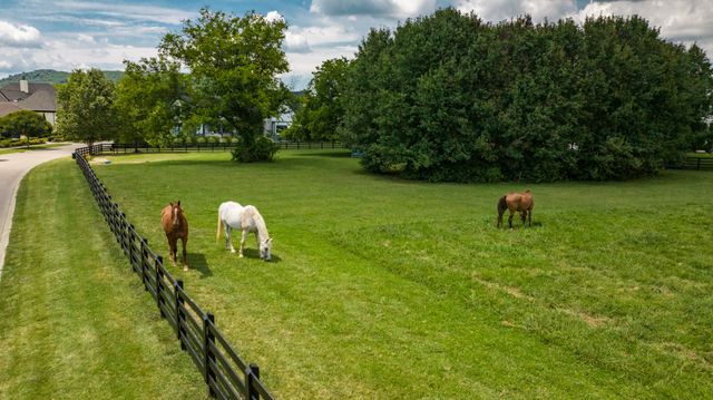 9308 Double Run Ct, College Grove, TN 37046