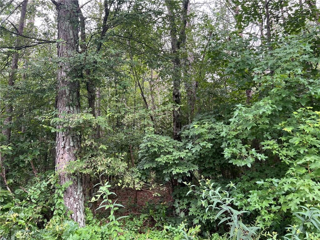 119 Kirk NW Road, White, GA 30184