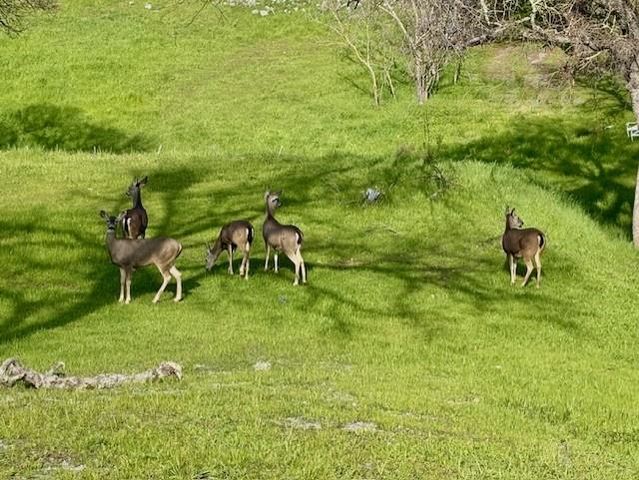 2633 Glen Ct, Valley Springs, CA 95252