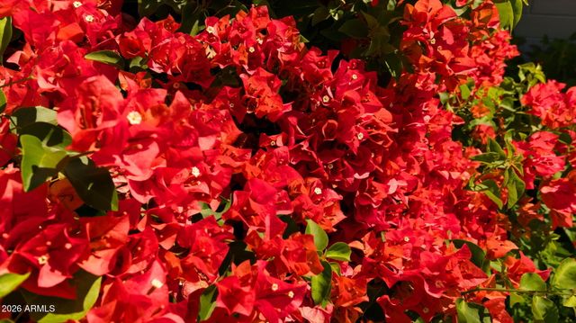 1643 N 22ND Place, Phoenix, AZ 85006