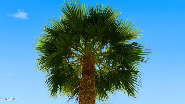 1643 N 22ND Place, Phoenix, AZ 85006