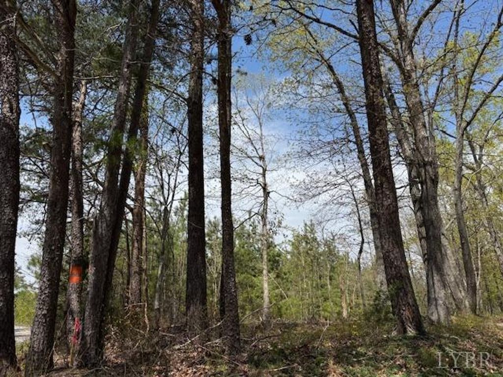 1 Stage Rd, Concord, VA 24538