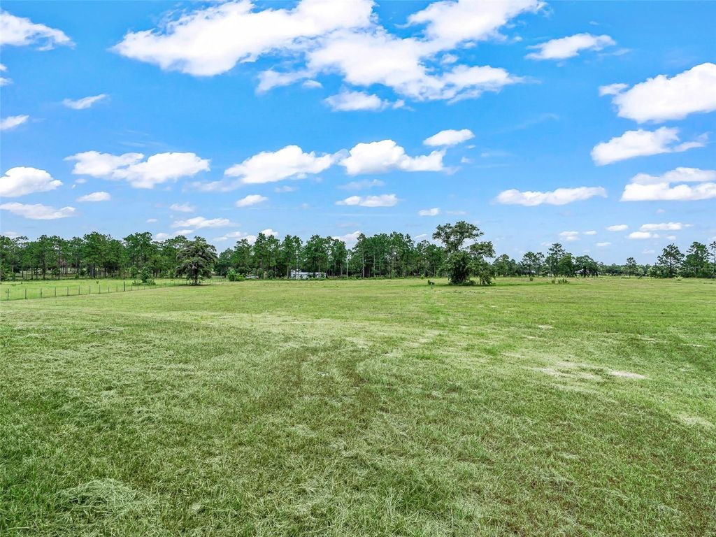 Image 27 of property listing at 14461 SE 80TH STREET, Morriston, FL 32668