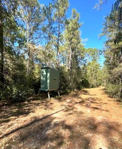 2231 County Road 3550, Woodville, TX 75979