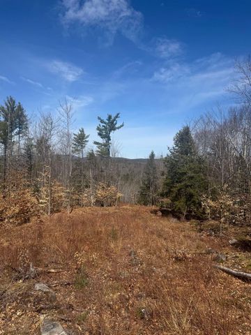 8 Wakefield North Road, Wolfeboro, NH 03894