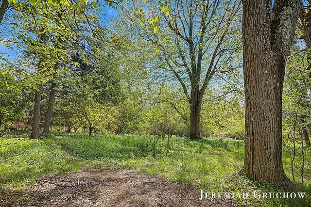 8721 Conservation Street, Ada, MI 49301