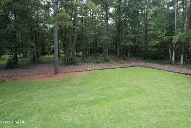 4271 Nc 99 Highway N, Pantego, NC 27860