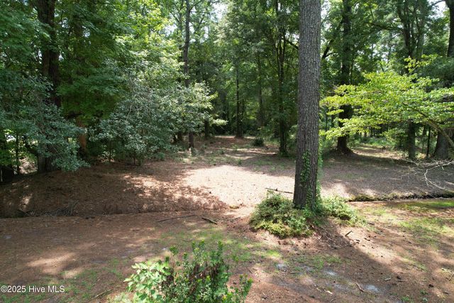 4271 Nc 99 Highway N, Pantego, NC 27860