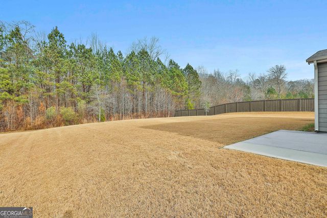 435 Park Haven Lane, Tyrone, GA 30290