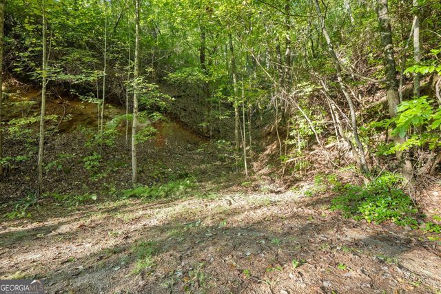 0 Daybreak Road, Cleveland, GA 30528