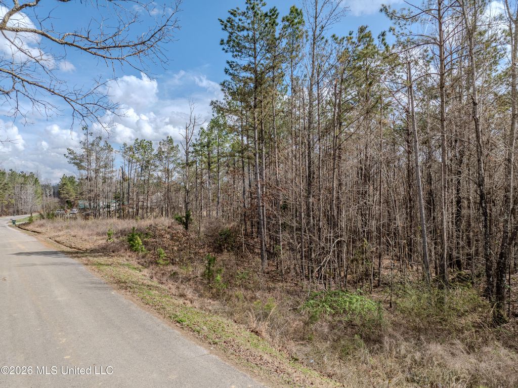 Wilkins Chapel Road, Waterford, MS 38685 — photo 3