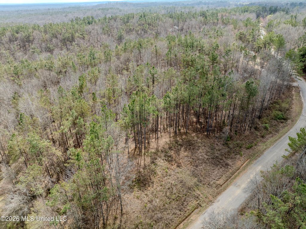 Wilkins Chapel Road, Waterford, MS 38685 — photo 4