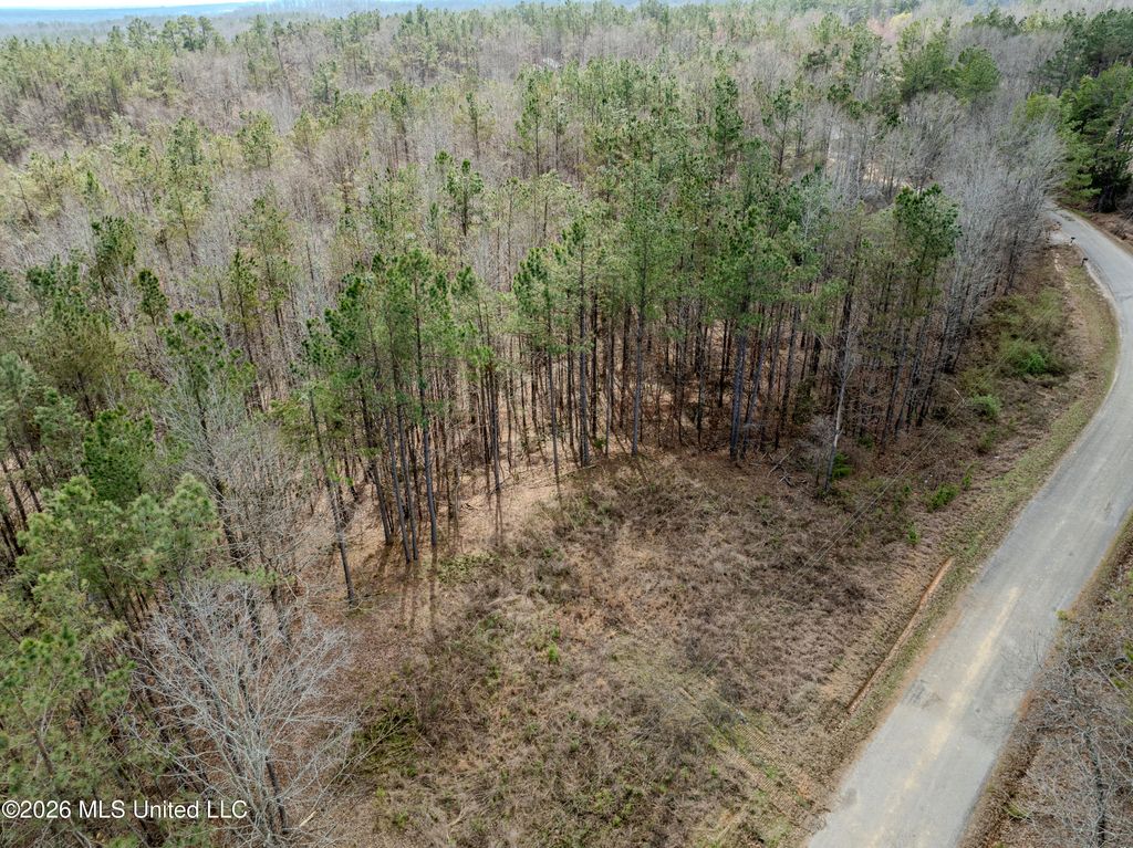 Wilkins Chapel Road, Waterford, MS 38685 — photo 5