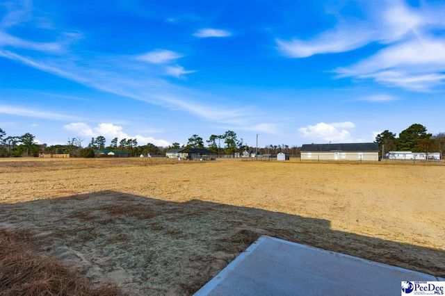 266 Lexyryan Ct, Latta, SC 29565