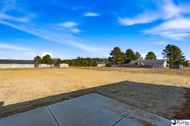 266 Lexyryan Ct, Latta, SC 29565