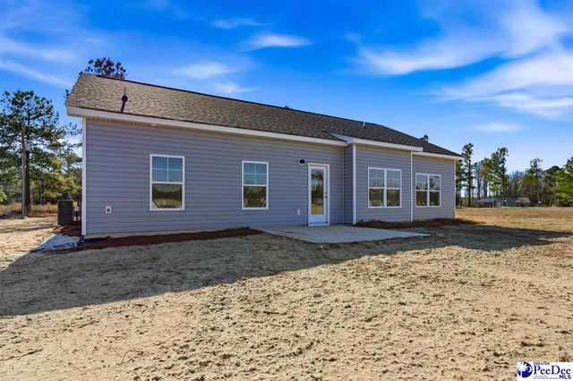 266 Lexyryan Ct, Latta, SC 29565