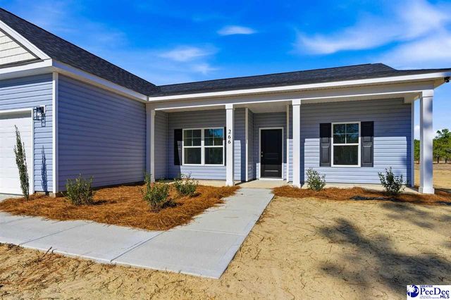 266 Lexyryan Ct, Latta, SC 29565