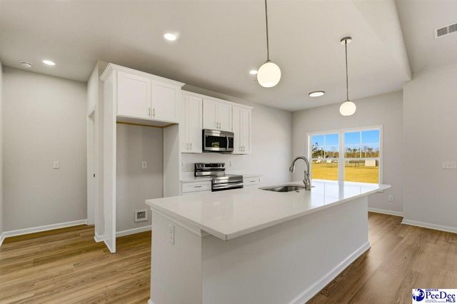 266 Lexyryan Ct, Latta, SC 29565