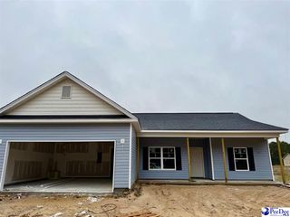 266 Lexyryan Ct, Latta, SC 29565