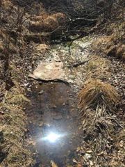 Tract 3 Ramblewood Trail, Yellville, AR 72687