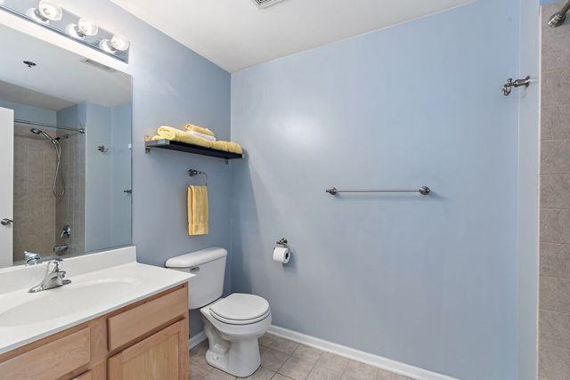 410 W Mahogany Court 202, Palatine, IL 60067
