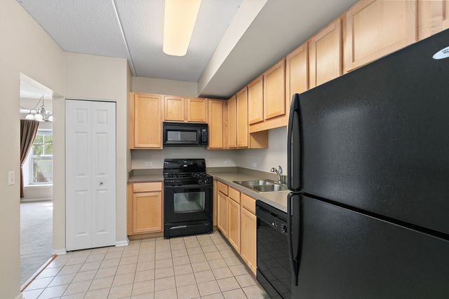 410 W Mahogany Court 202, Palatine, IL 60067