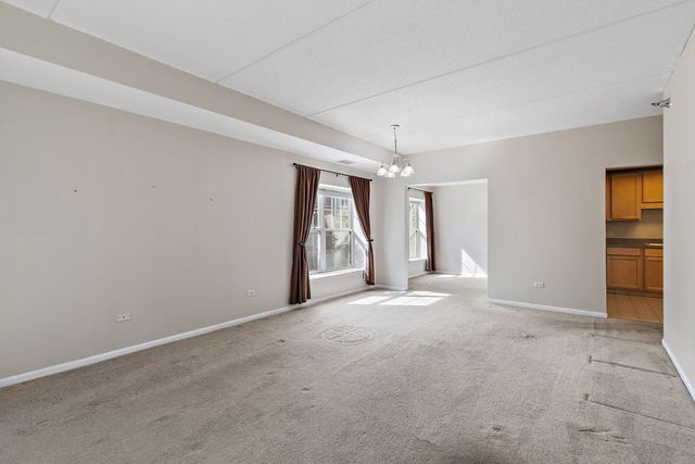 410 W Mahogany Court 202, Palatine, IL 60067