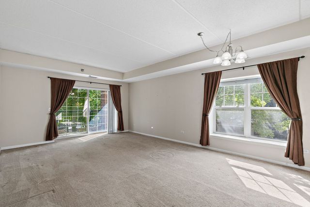 410 W Mahogany Court 202, Palatine, IL 60067